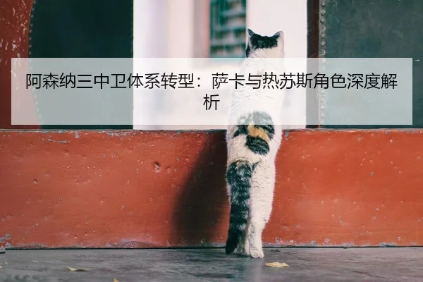 阿森纳三中卫体系转型：萨卡与热苏斯角色深度解析